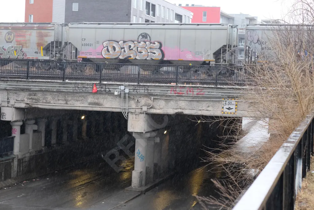 CP650021 - NORTH-AMERICA