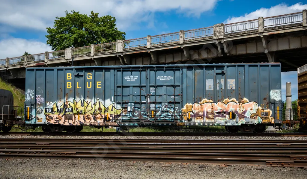 AOK167142 - NORTH-AMERICA