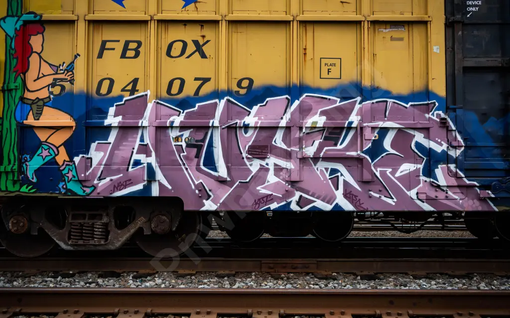 FBOX504079 - NORTH-AMERICA