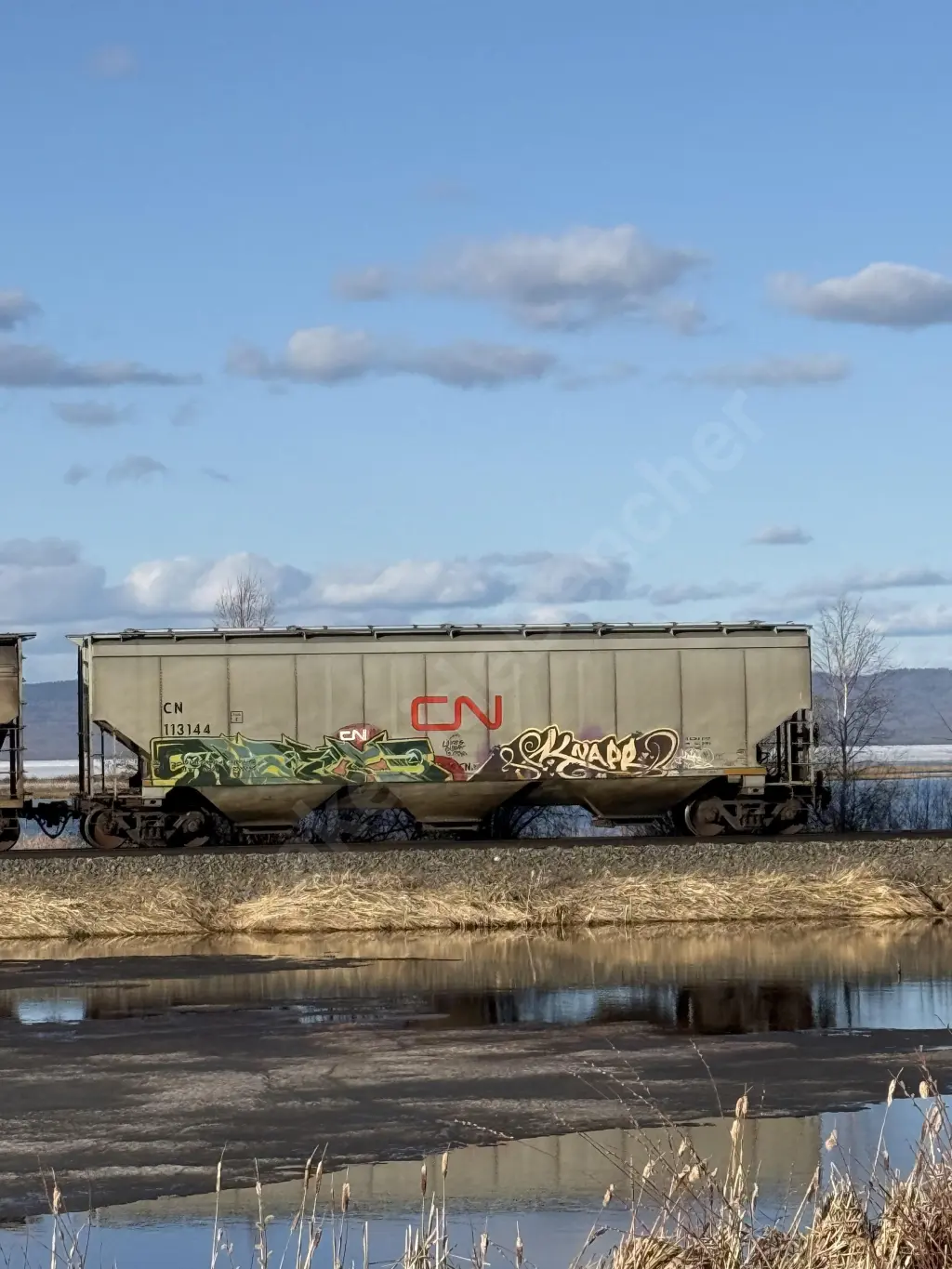 CN113144 - NORTH-AMERICA
