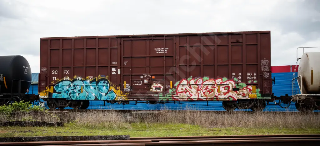 SCFX115479 - NORTH-AMERICA