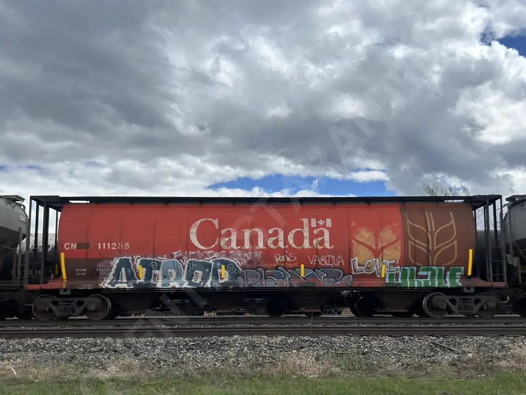 CN111255 - NORTH-AMERICA