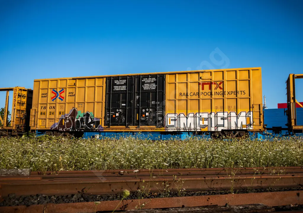 Train photo