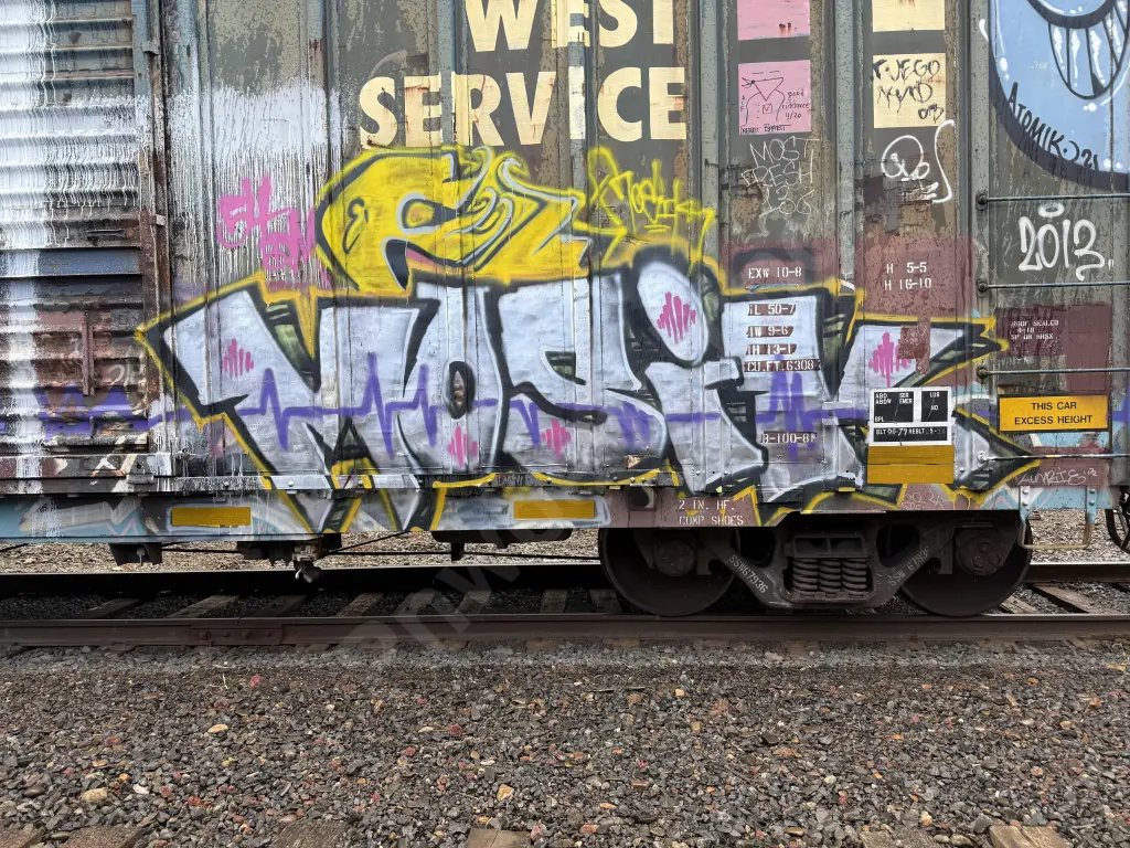 SSW67936 - NORTH-AMERICA
