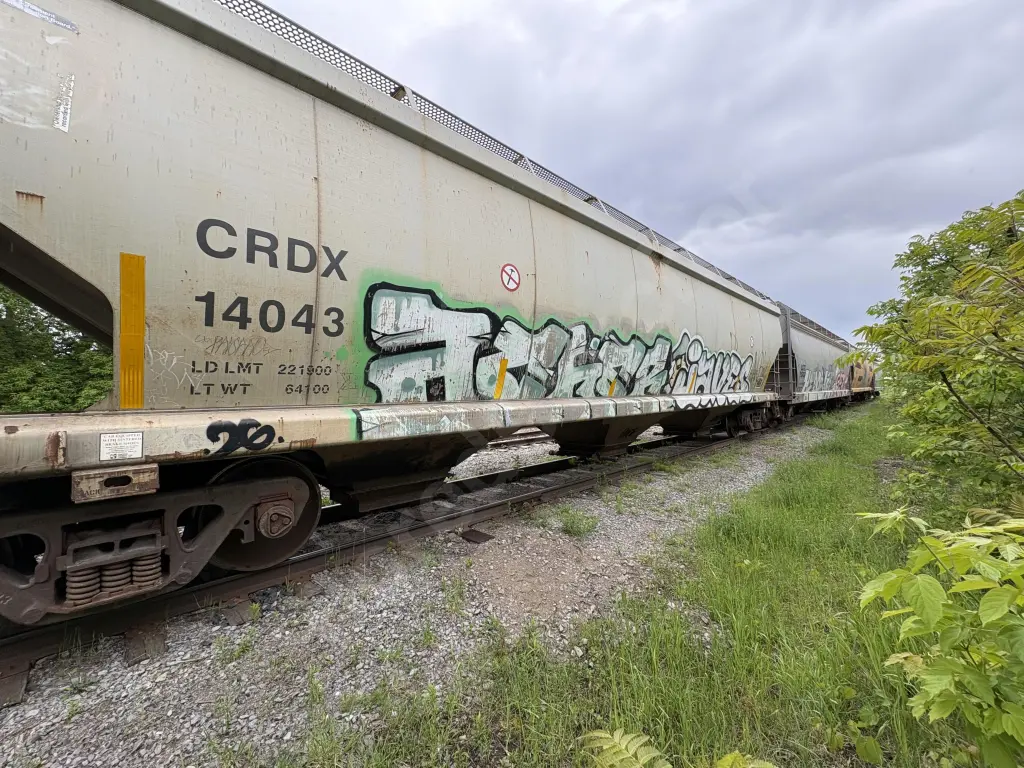 CRDX14043 - NORTH-AMERICA