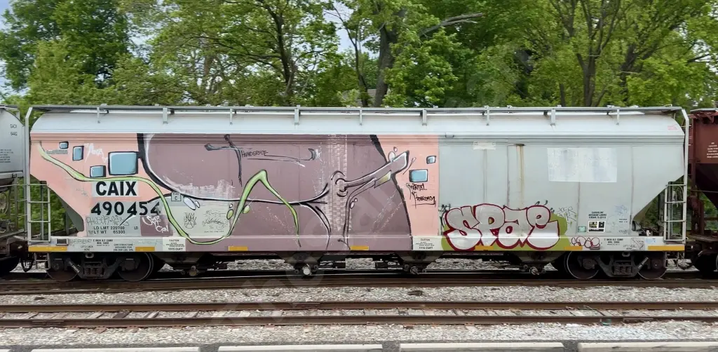 CAIX490454 - NORTH-AMERICA