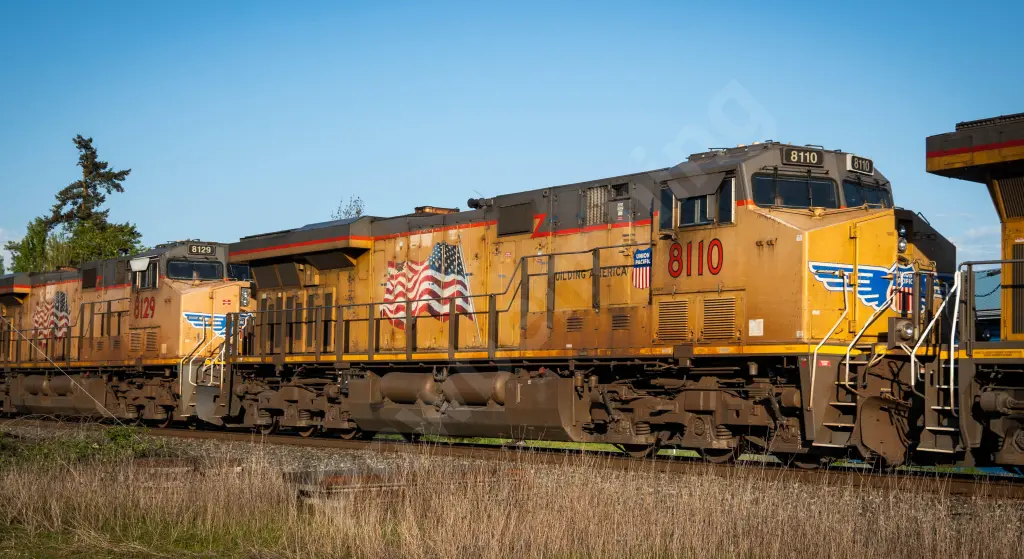 UP8110 - NORTH-AMERICA