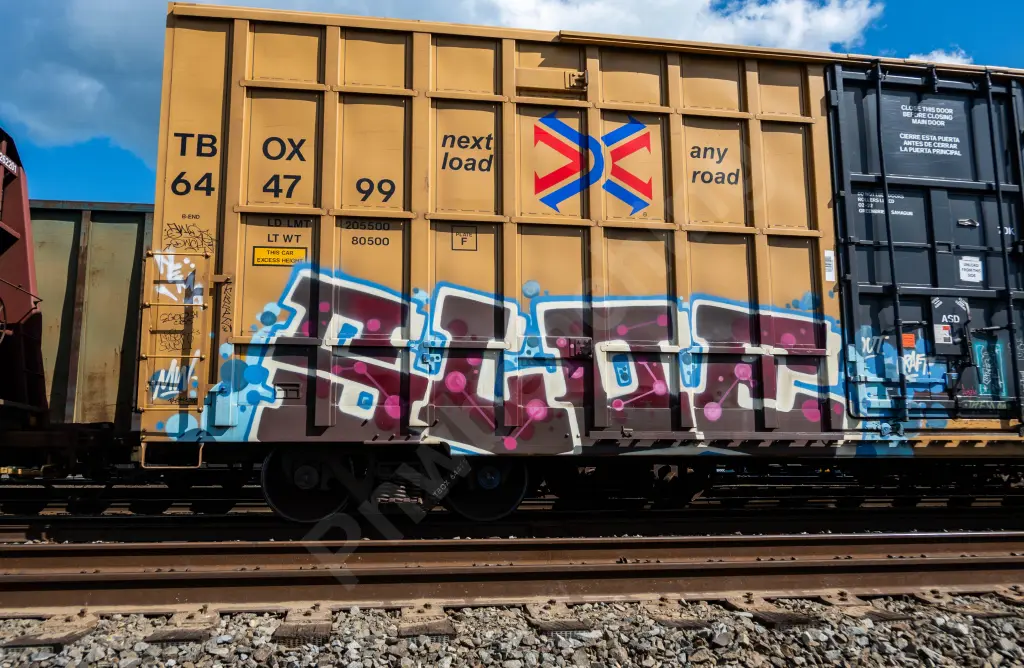 TBOX644799 - NORTH-AMERICA