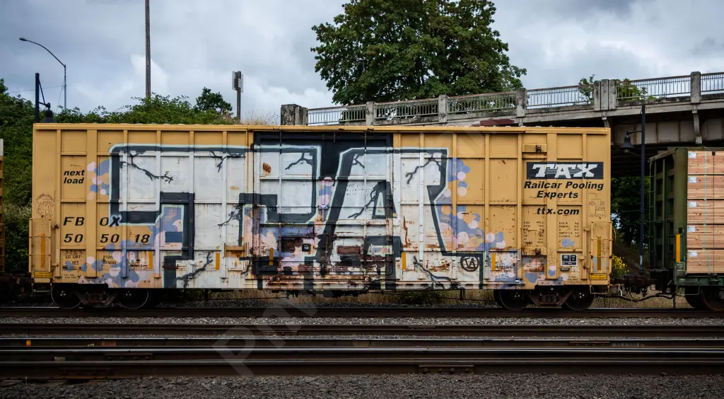 FBOX505018 - NORTH-AMERICA