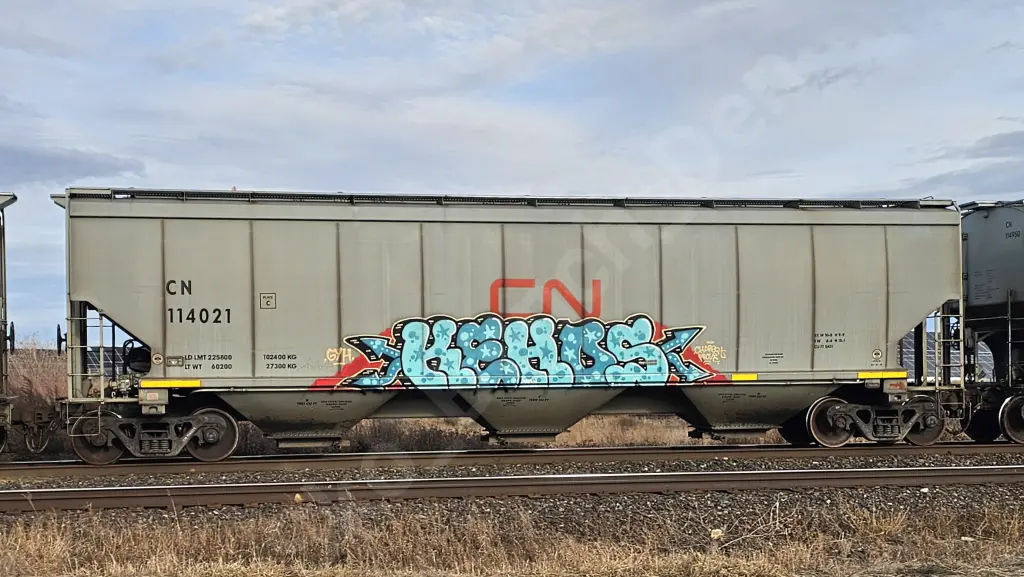 CN114021 - NORTH-AMERICA