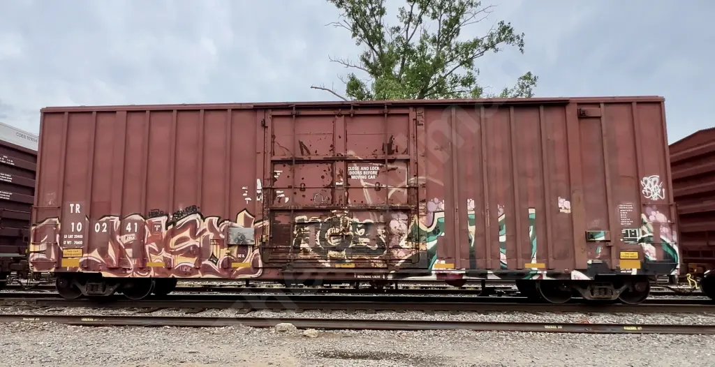 TR100241 - NORTH-AMERICA