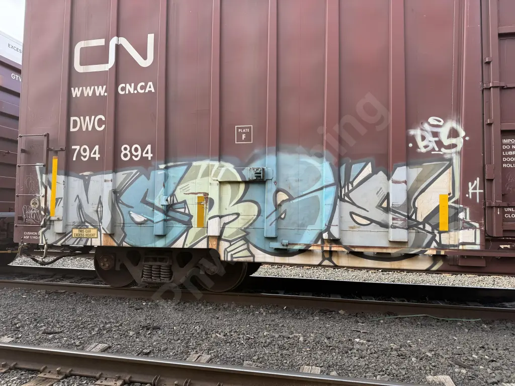DWC794894 - NORTH-AMERICA