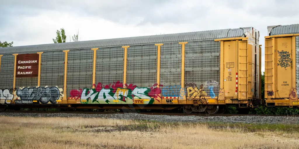 TTGX988860 - NORTH-AMERICA