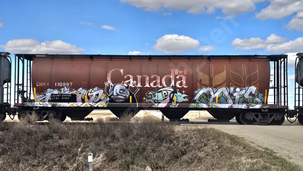 CN110997 - NORTH-AMERICA