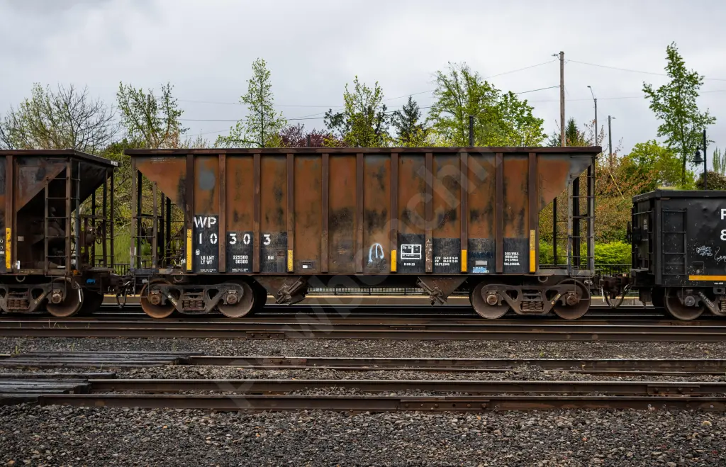 WP10303 - NORTH-AMERICA