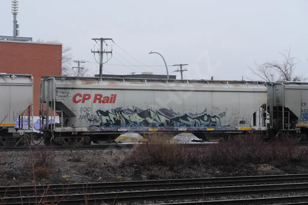 SOO116036 - NORTH-AMERICA