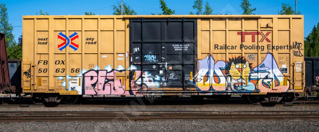 FBOX506356 - NORTH-AMERICA