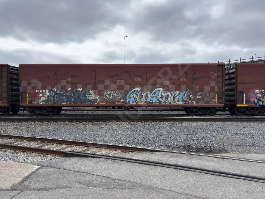 SGFX305 - NORTH-AMERICA