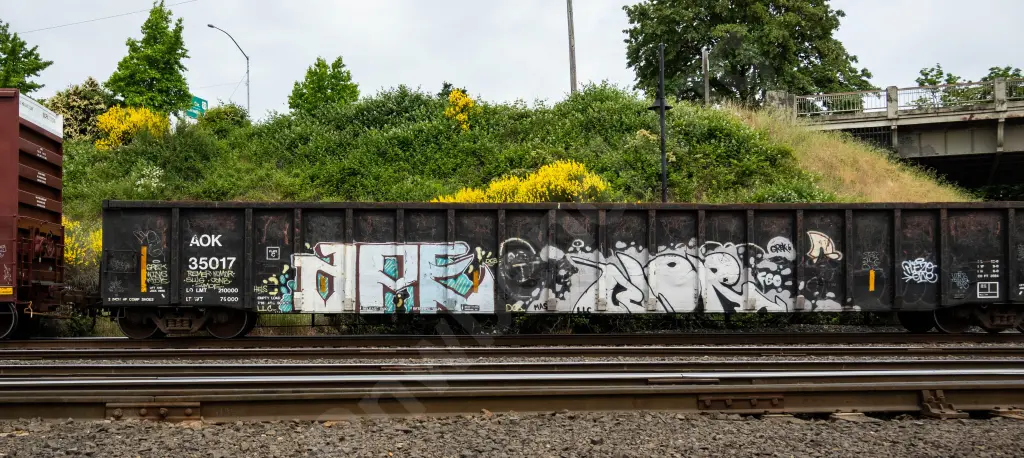 AOK35017 - NORTH-AMERICA