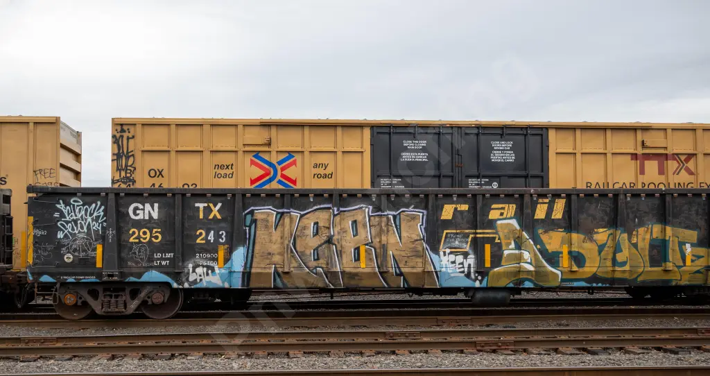 GNTX295243 - NORTH-AMERICA