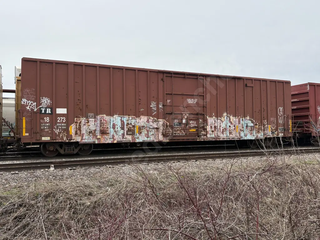 TR18273 - NORTH-AMERICA