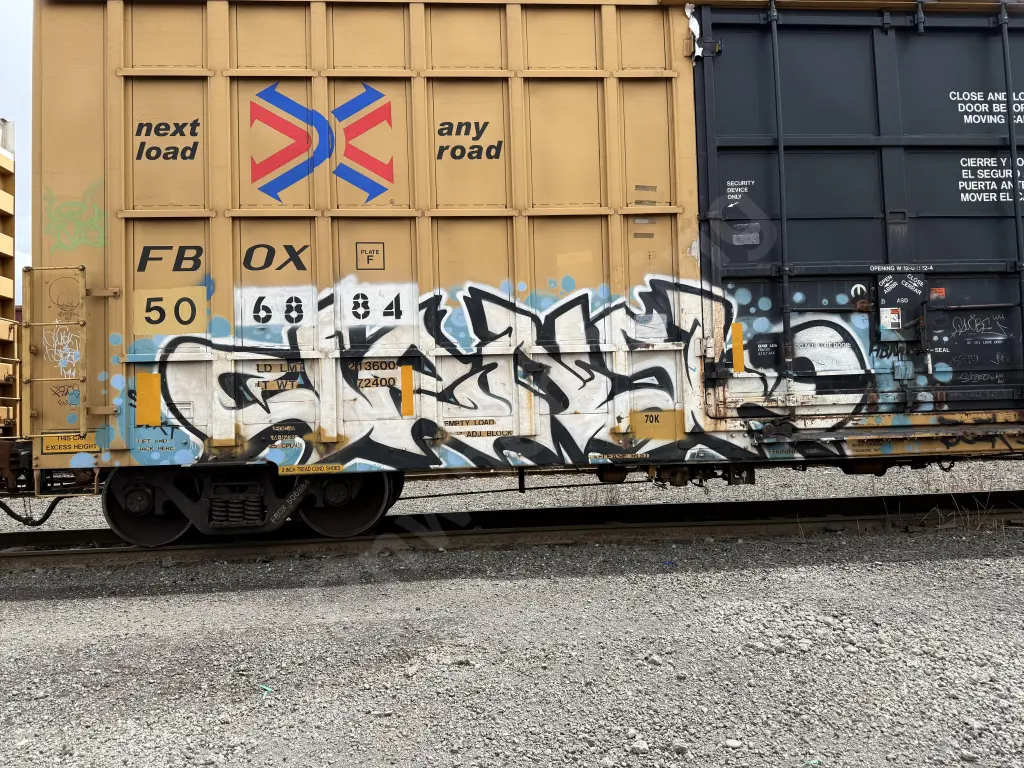 FBOX506884 - NORTH-AMERICA