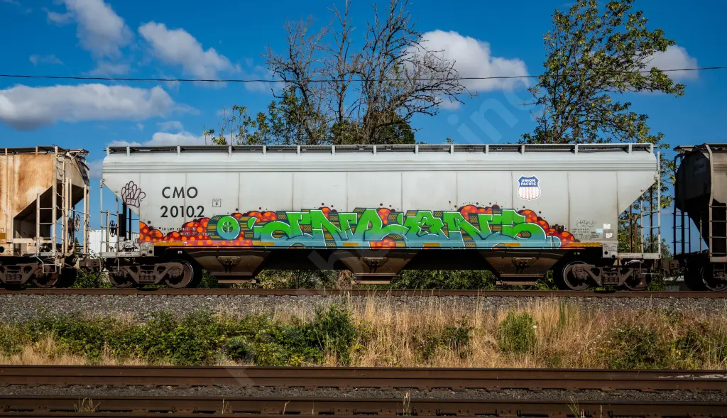 CMO20102 - NORTH-AMERICA