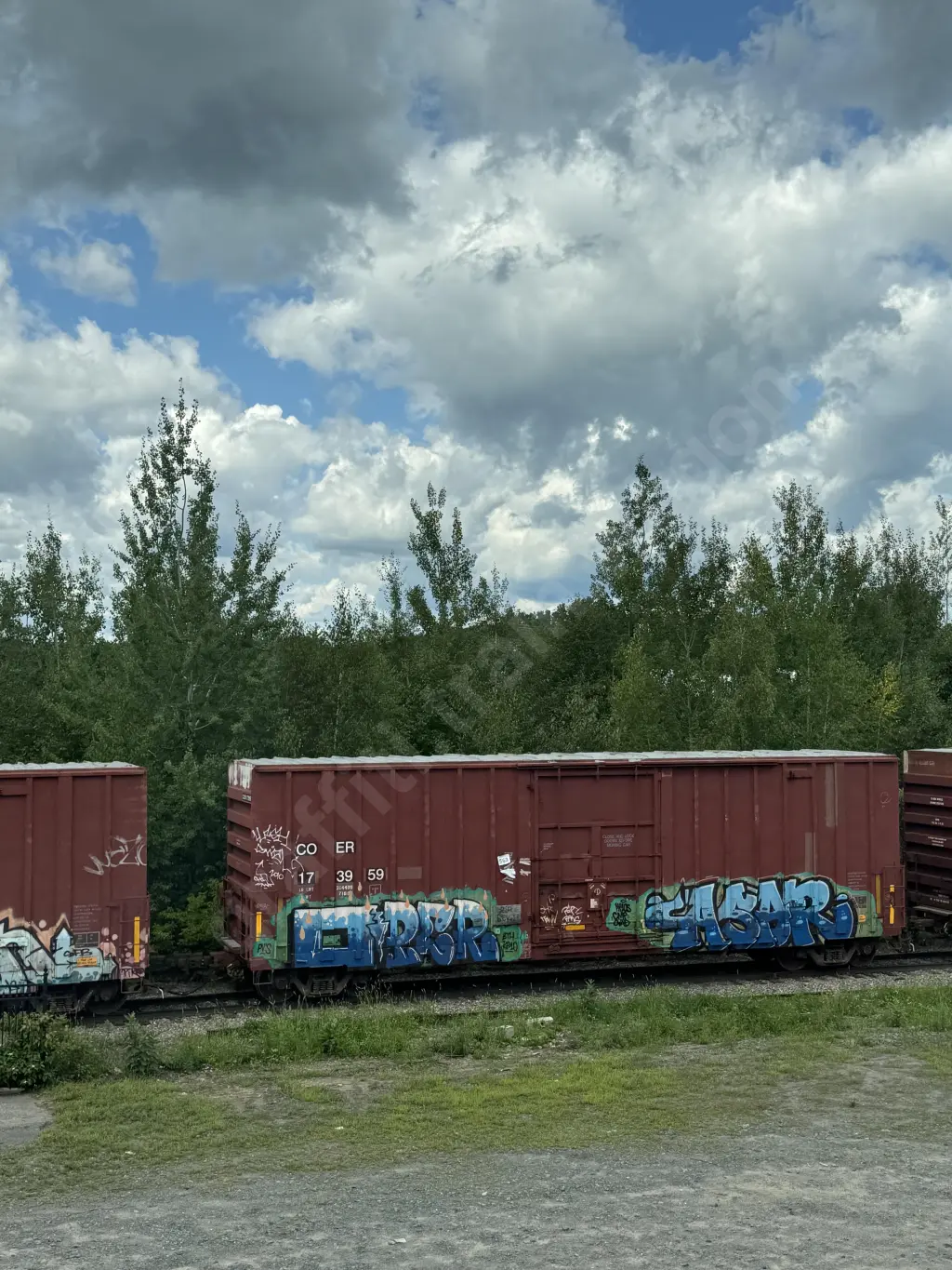 COER173959 - NORTH-AMERICA