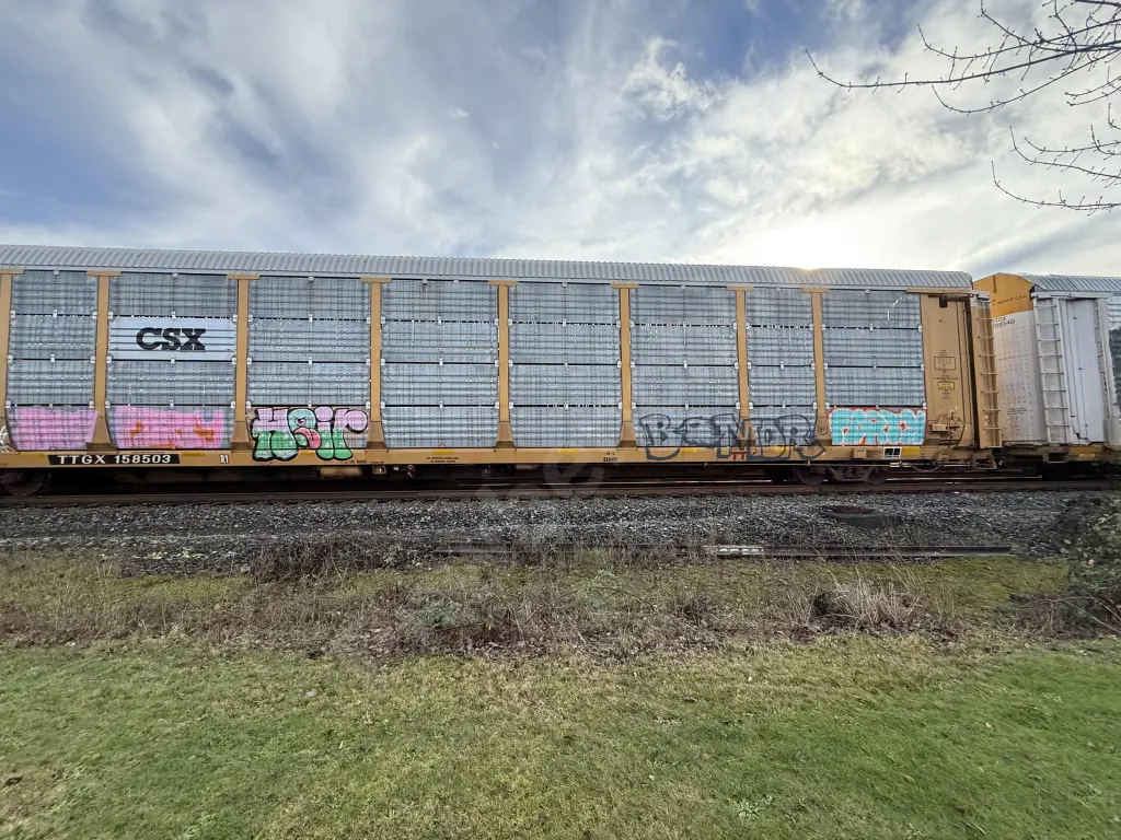 TTGX158503 - NORTH-AMERICA