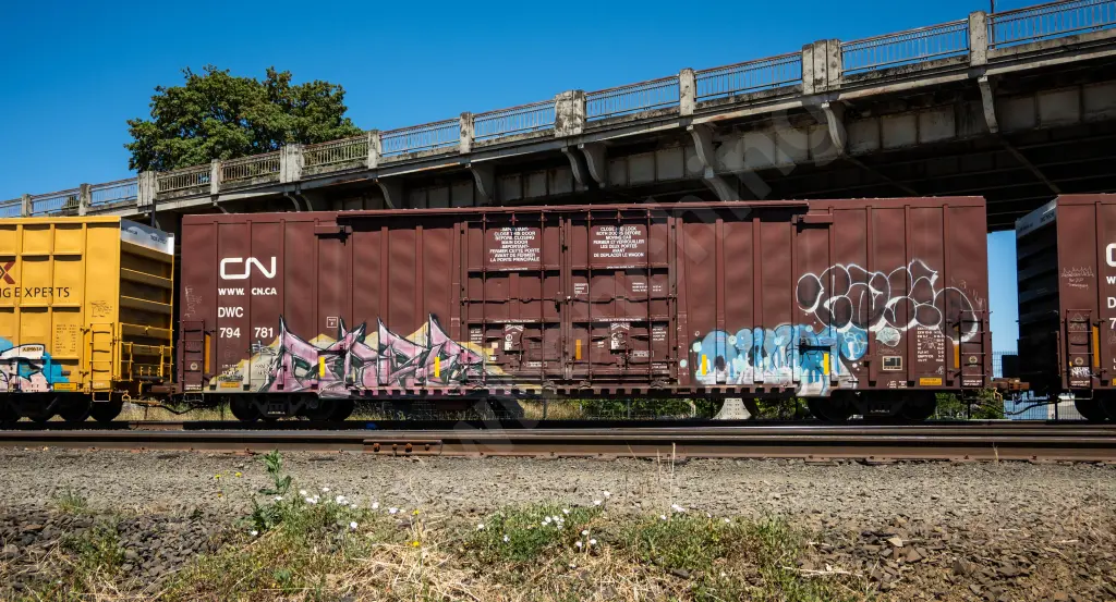 DWC794781 - NORTH-AMERICA