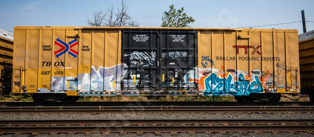TBOX667489 - NORTH-AMERICA