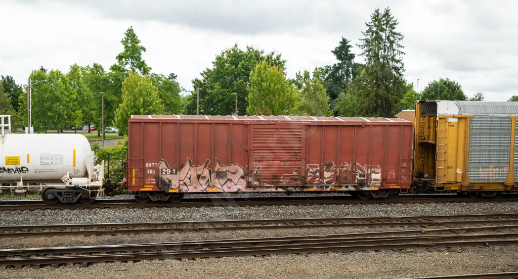 BKTY151291 - NORTH-AMERICA