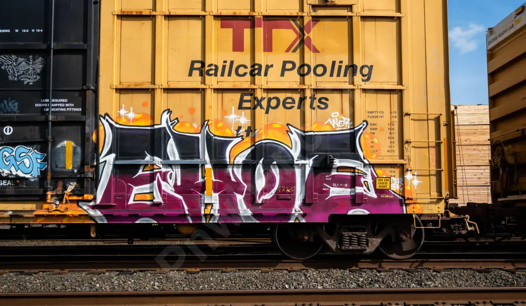 FBOX505285 - NORTH-AMERICA