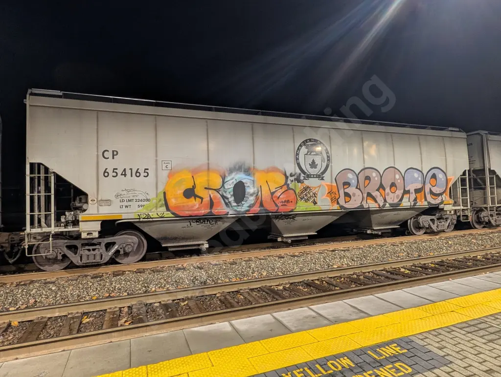 CP654165 - NORTH-AMERICA