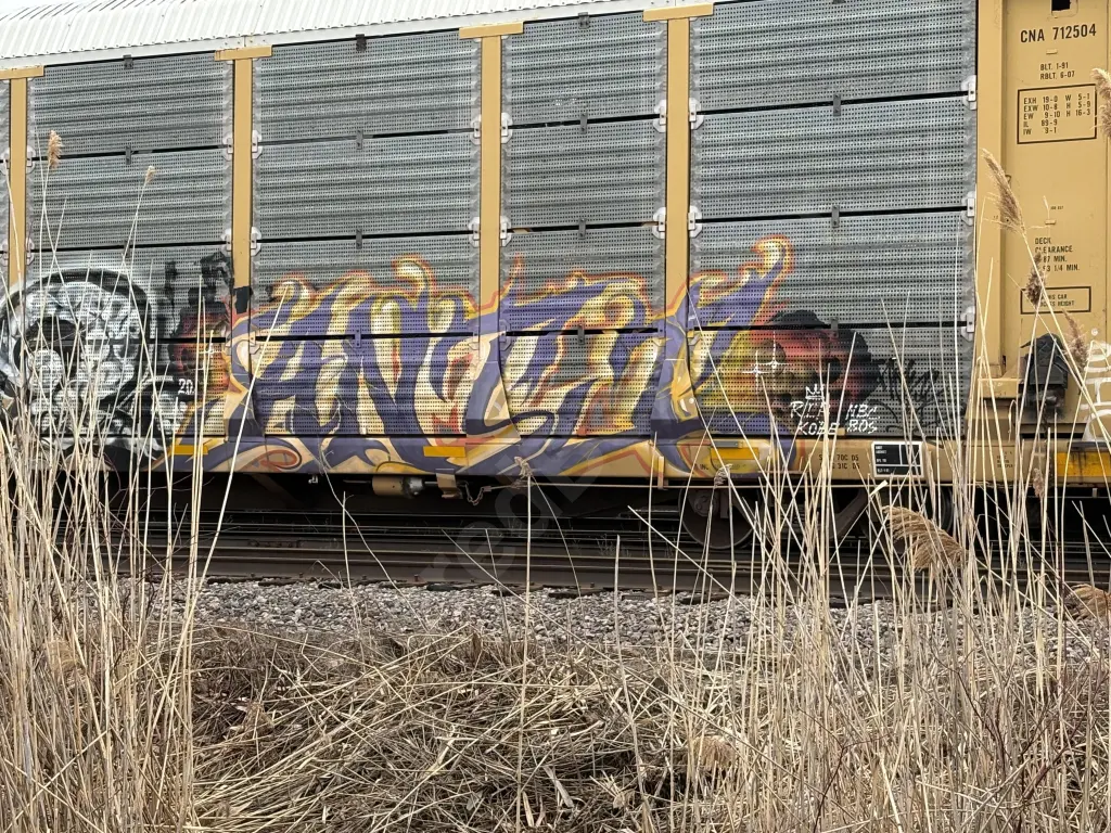 Train photo