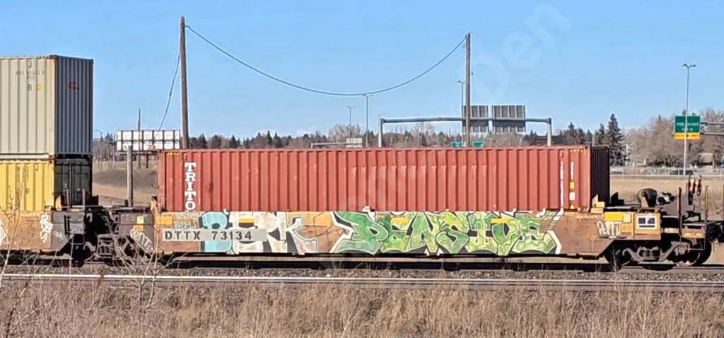 DTTX73134 - NORTH-AMERICA