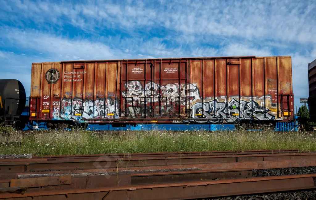 CP218231 - NORTH-AMERICA