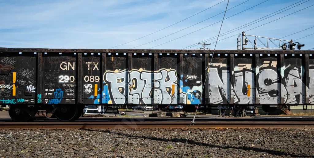 GNTX290089 - NORTH-AMERICA