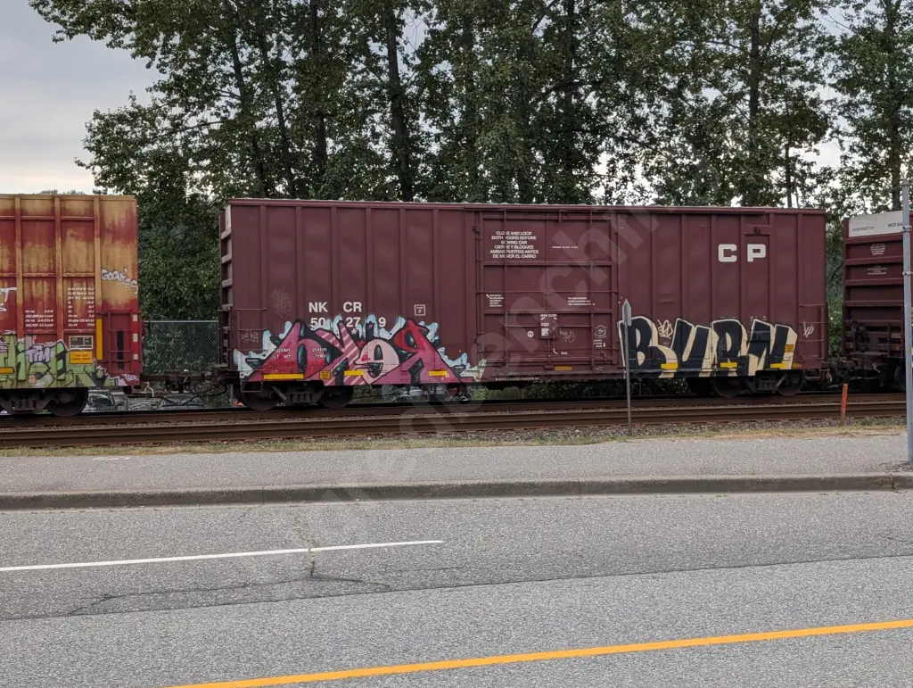 NKCR50279 - NORTH-AMERICA