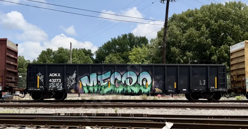 AOKX43273 - NORTH-AMERICA