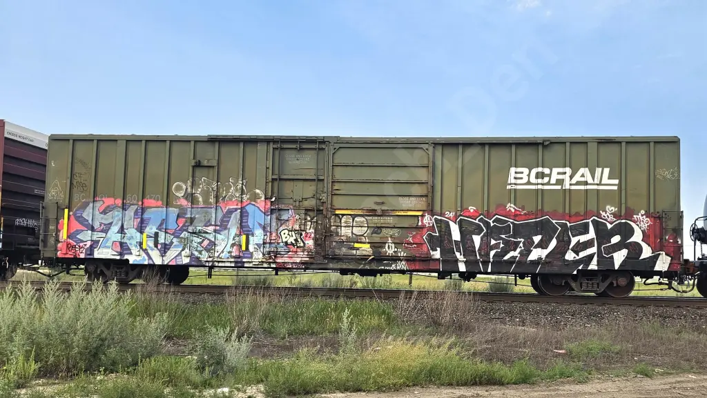 BCOL60470 - NORTH-AMERICA