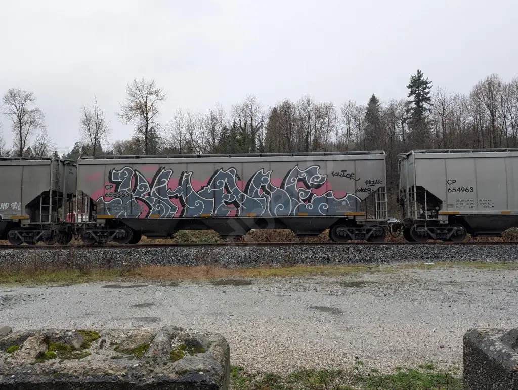 CP655363 - NORTH-AMERICA