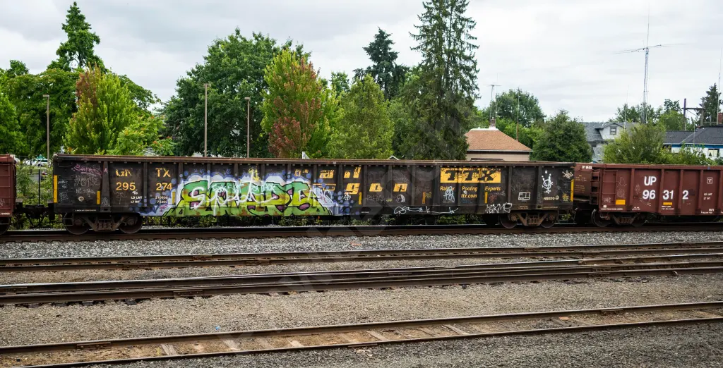 GNTX295274 - NORTH-AMERICA