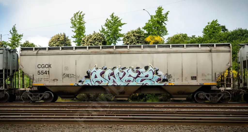 CGOX5541 - NORTH-AMERICA