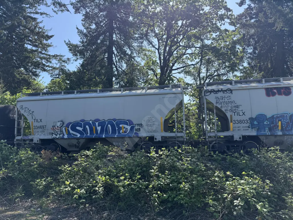 TILX334697 - NORTH-AMERICA