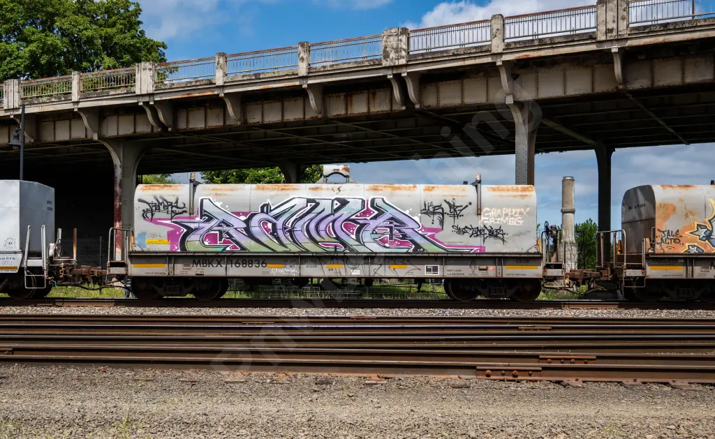 MBKX168836 - NORTH-AMERICA