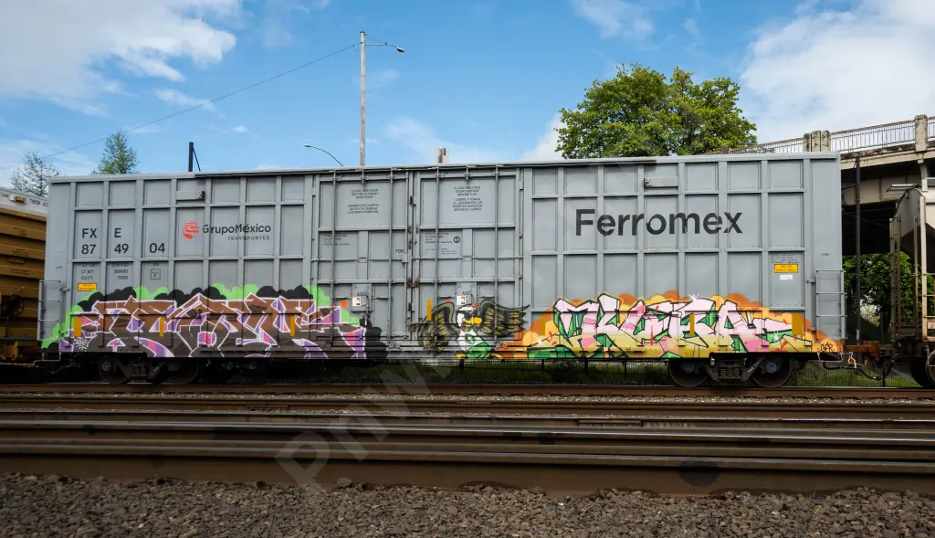 FXE874904 - NORTH-AMERICA