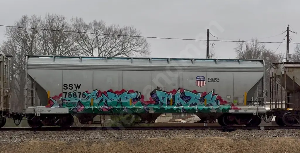 SSW78876 - NORTH-AMERICA