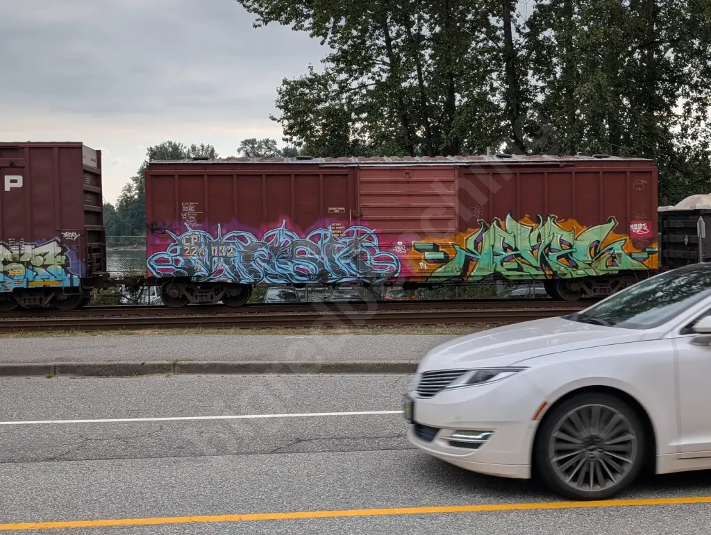 CP224032 - NORTH-AMERICA