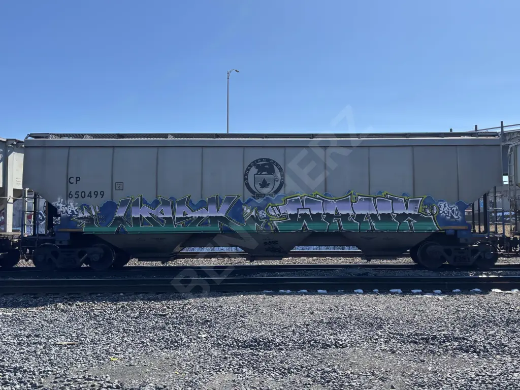 CP650499 - NORTH-AMERICA